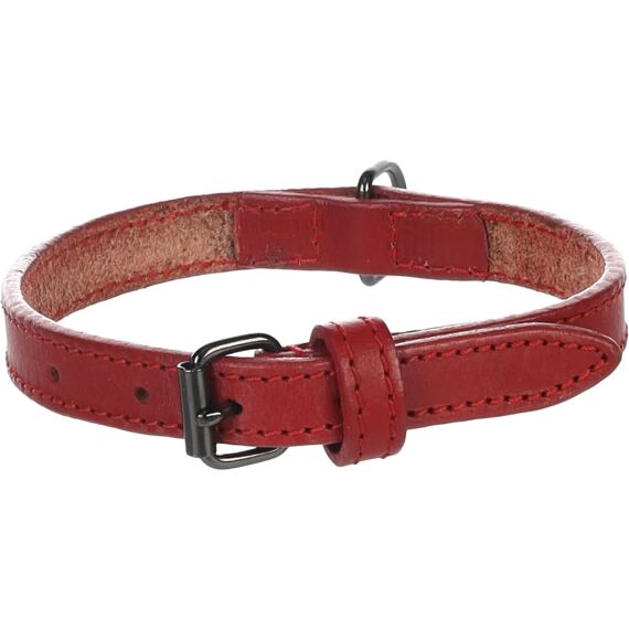 Halsband Denver Rood S 29-35Cm 15Mm