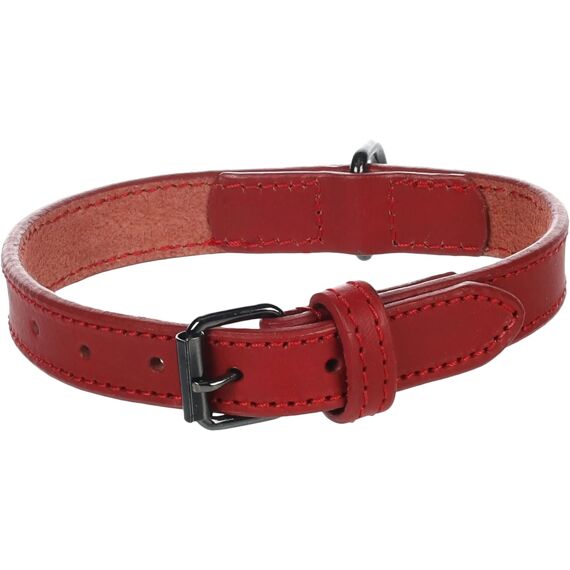 Halsband Denver Rood S/M 31-39Cm