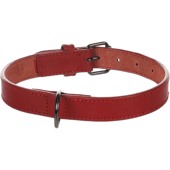 Halsband Denver Rood L 42-52Cm 25Mm