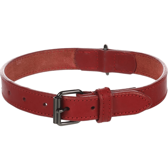 Halsband Denver Rood L 42-52Cm 25Mm