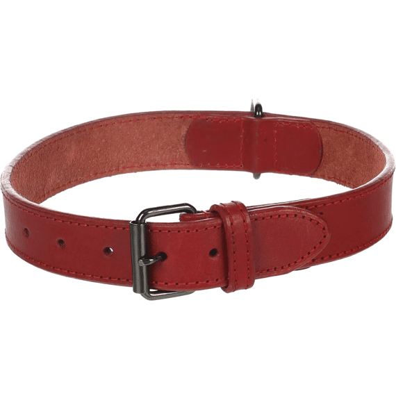 Halsband Denver Rood Xl 47-57Cm