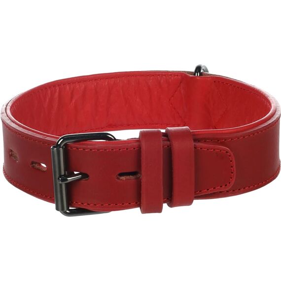 Halsband Denver Breed Rood M/L