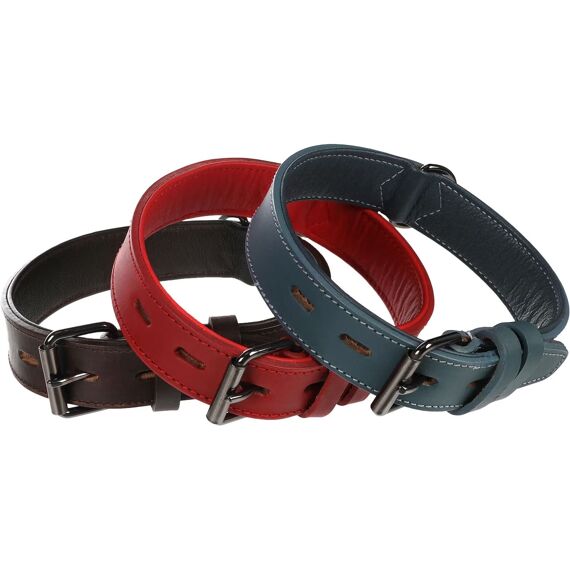 Halsband Denver Breed Rood L