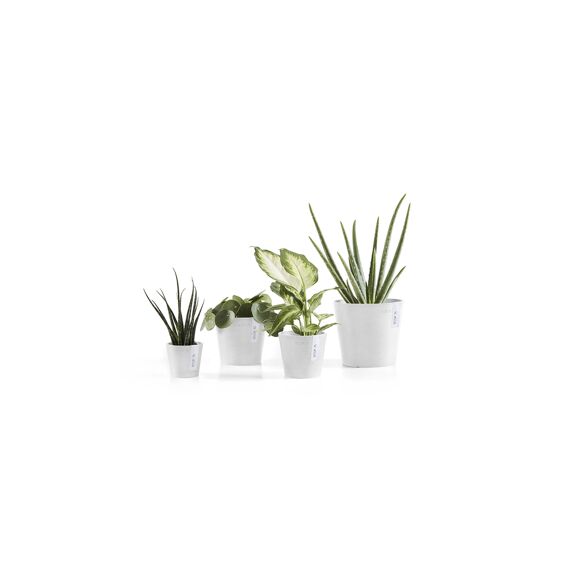 Ecopot Amsterdam 8 Pure White