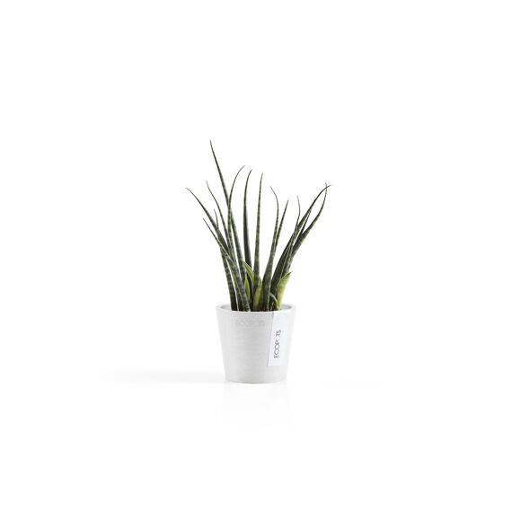 Ecopot Amsterdam 8 Pure White