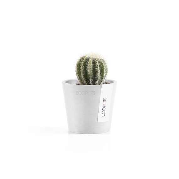 Ecopot Amsterdam 8 Pure White