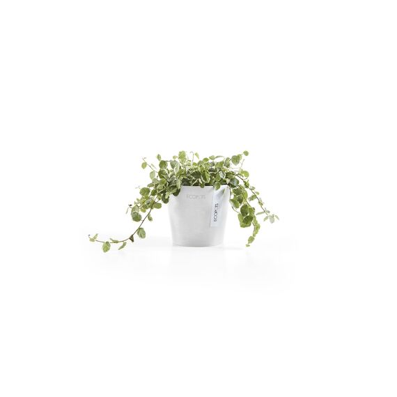 Ecopot Amsterdam 10,5 Pure White