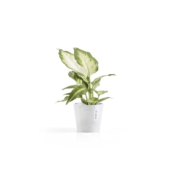 Ecopot Amsterdam 10,5 Pure White