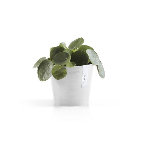 Ecopot Amsterdam 13 Pure White