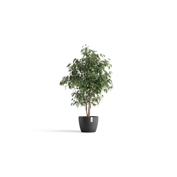 Ecopot Stockholm 31 Dark Grey