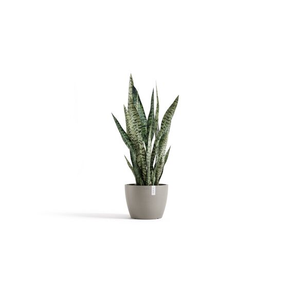 Ecopot Stockholm 24 Taupe