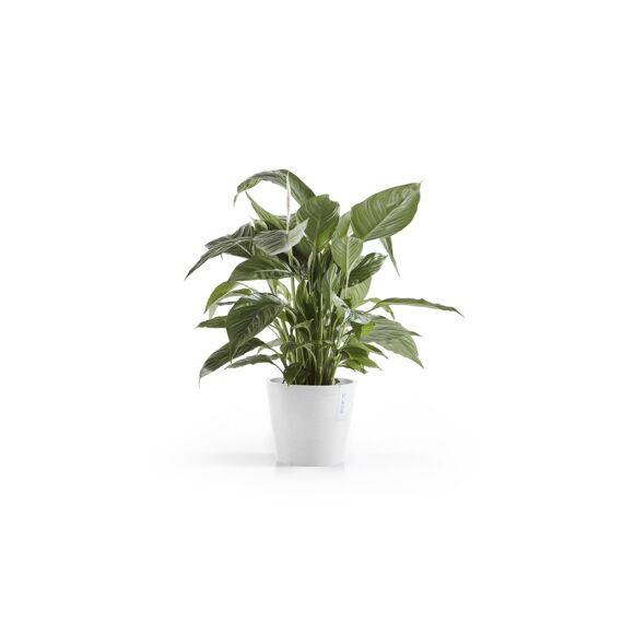 Ecopot Amsterdam 20 Pure White