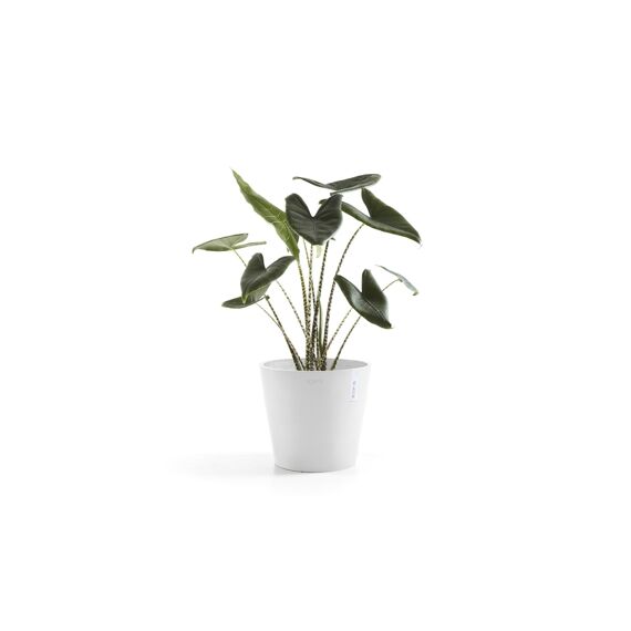 Ecopot Amsterdam 30 Pure White