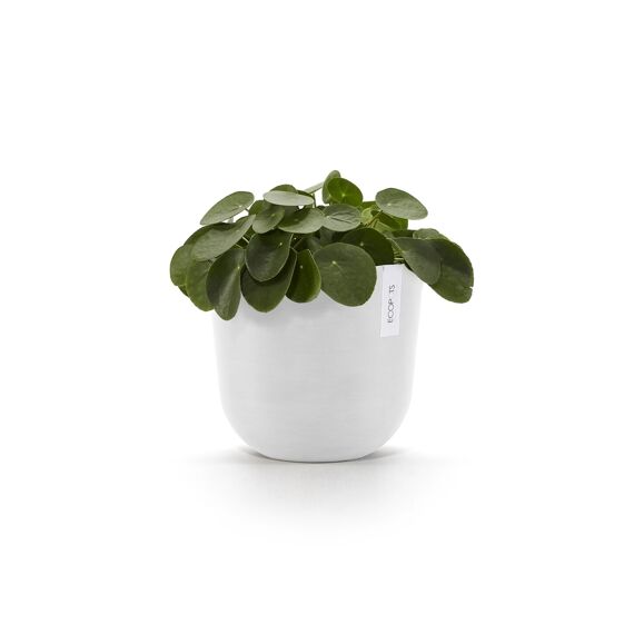 Ecopot Oslo 25 Pure White
