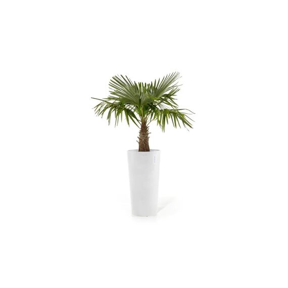 Ecopot Amsterdam High 76 Pure White