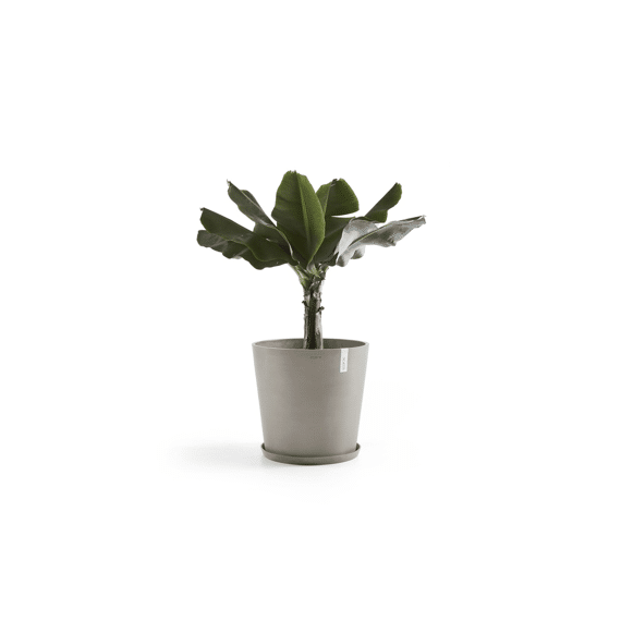 Ecopot Saucer Round 50 Taupe