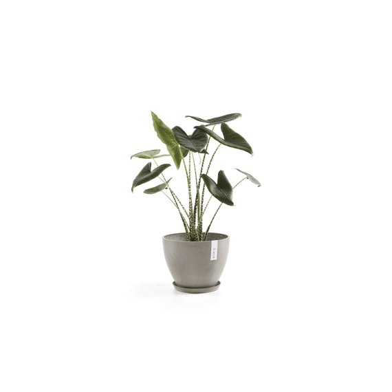 Ecopot Saucer Round 50 Taupe