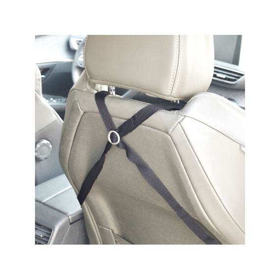 2-In-1 Automand Isofix 45X39X30Cm Zwart