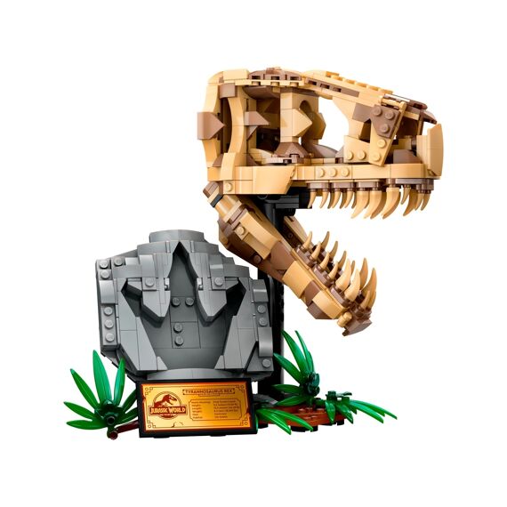 LEGO Jurassic World 76964 Dinosaurusfossielen: T. Rex Schedel