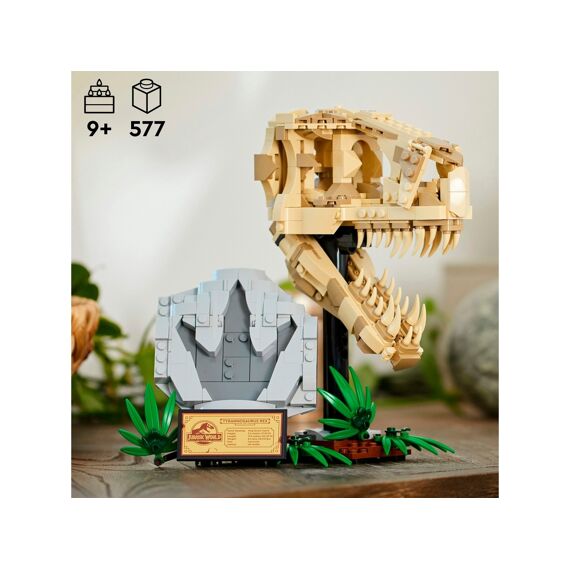 LEGO Jurassic World 76964 Dinosaurusfossielen: T. Rex Schedel