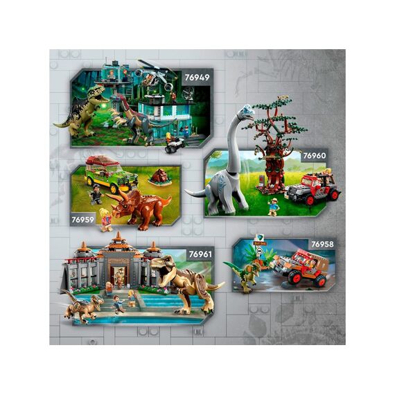 LEGO Jurassic World 76964 Dinosaurusfossielen: T. Rex Schedel