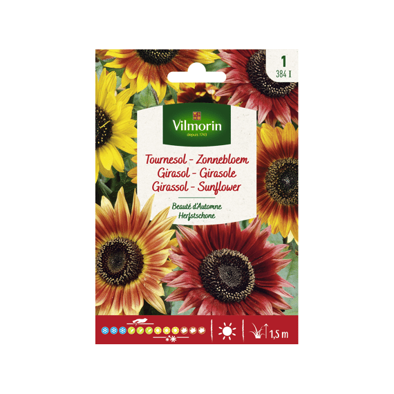 Vilmorin Zonnebloem Herfstzonnebloem
