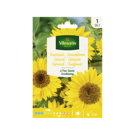 Vilmorin Reuzenzonnebloem