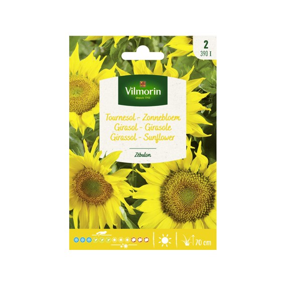 Vilmorin Zonnebloem Zebulon