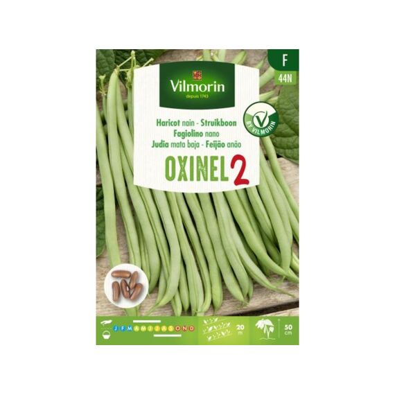 Vilmorin Struikboon Oxinel 2 110G