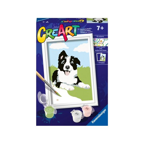 Creart Serie F Border Collie