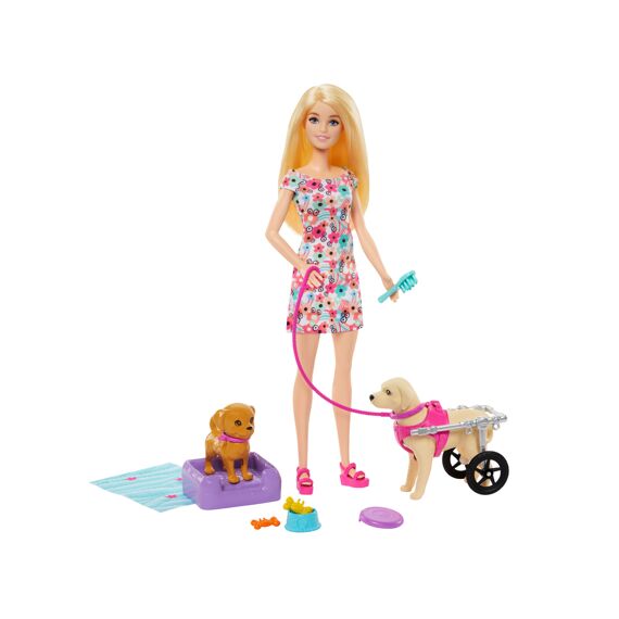 Barbie Pop Met 2 Hondjes En Accessoires