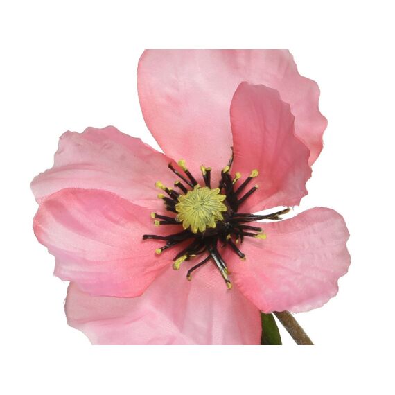 Papaver Op Steel Polyester L10.00-W5.00-H71.00Cm Roze