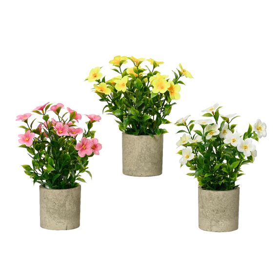 Catharanthus In Pot Dia10.00-H25.00Cm Assortiment Prijs Per Stuk