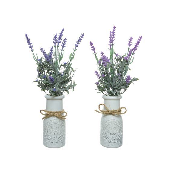 Lavendel In Pot Pe L13.00-W13.00-H32.00Cm Paars 2 Assortiment Prijs Per Stuk