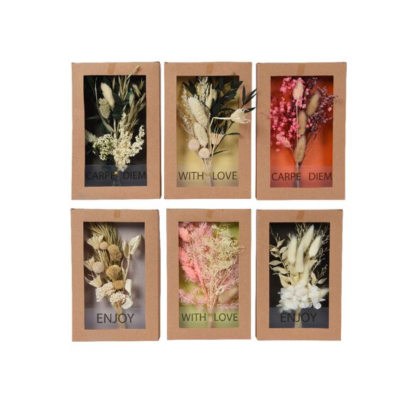 Bundel Droogbloem L14.00-W2.00-H22.00Cm Multi 6 Assortiment Prijs Per Stuk