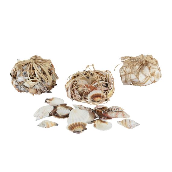 Deco Schelp L11.00-W10.00-H13.00Cm Naturel 3 Assortiment Prijs Per Stuk