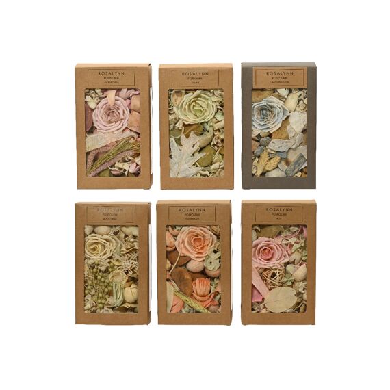 Potpourri Droogbloem L12.00-W6.00-H20.00Cm 6 Assortiment Prijs Per Stuk