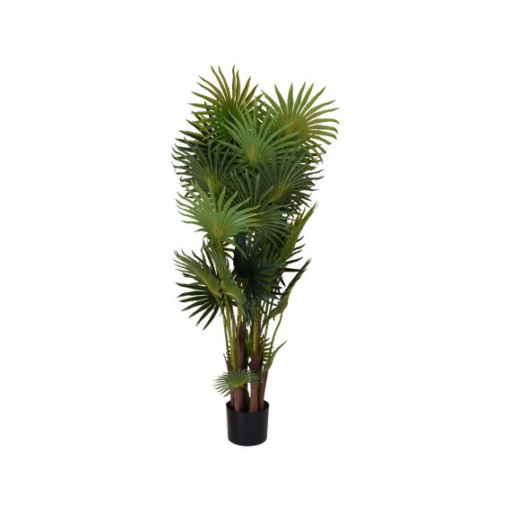 Plant In Pot 120Cm