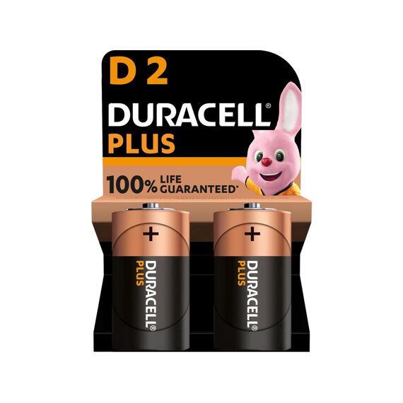 Duracell D 100 2St