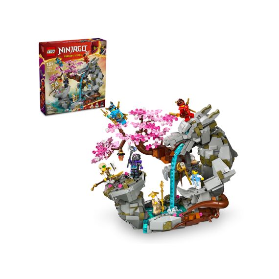 Lego Ninjago 71819 Altaar Van De Stenen Draak