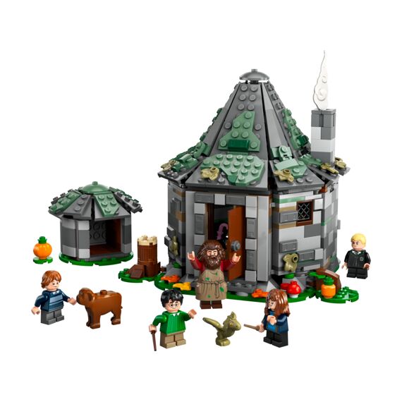 Lego Harry Potter 76428 Hagrids Huisje: Onverwacht Bezoek