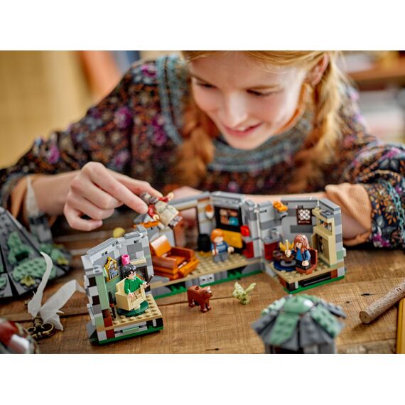 Lego Harry Potter 76428 Hagrids Huisje: Onverwacht Bezoek