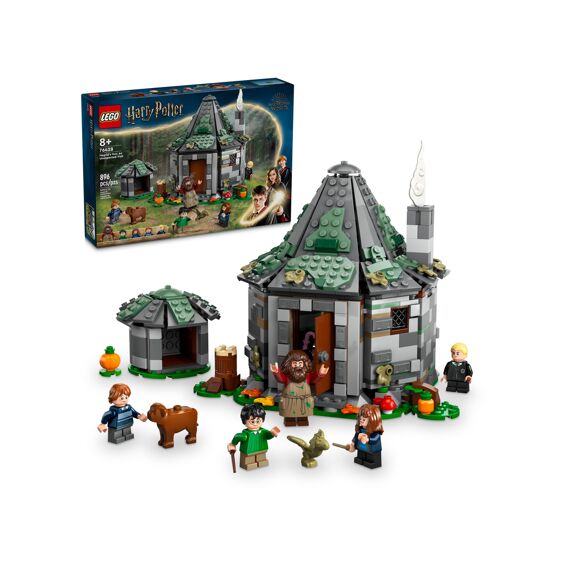 Lego Harry Potter 76428 Hagrids Huisje: Onverwacht Bezoek