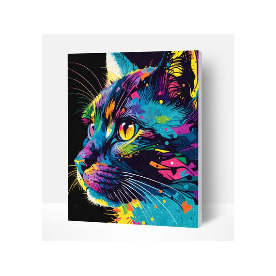 Diamond Art Creative Set Fel Gekleurde Kat