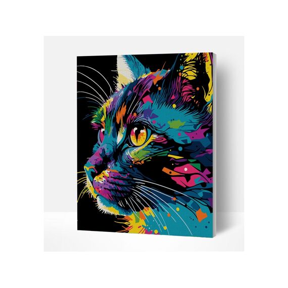 Paint By Numbers Creative Set Fel Gekleurde Kat