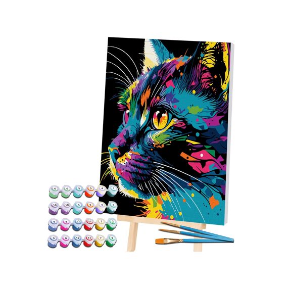 Paint By Numbers Creative Set Fel Gekleurde Kat