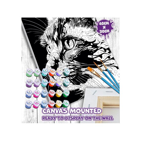 Paint By Numbers Creative Set Fel Gekleurde Kat