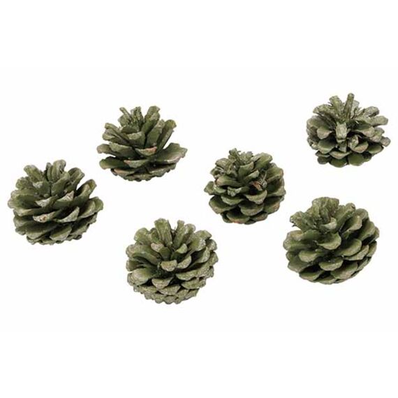 Denappels Groen D5Cm Set/6