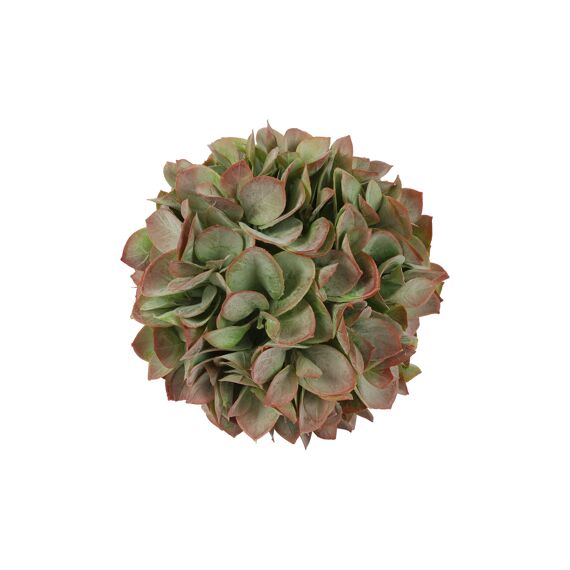 Bal Eucalyptus S Groen/Roze L13B13H13Cm