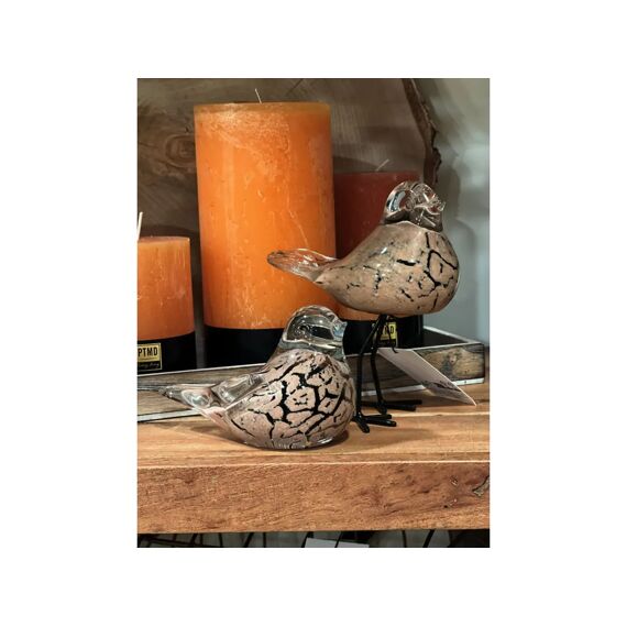 Bird Glass Brown 13,5X8,5X15,5Cm